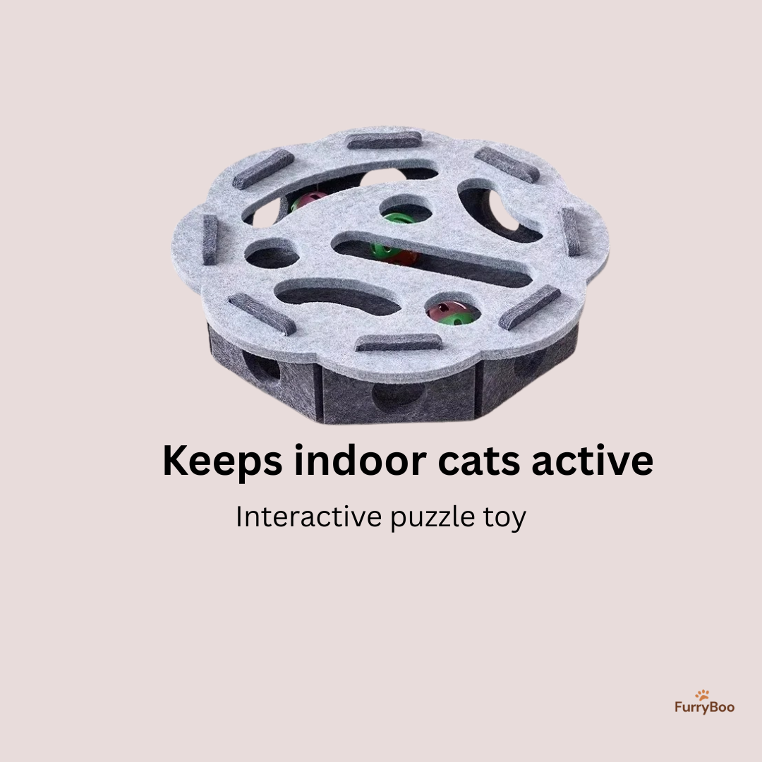 Interactive Hunting Toy for Cats