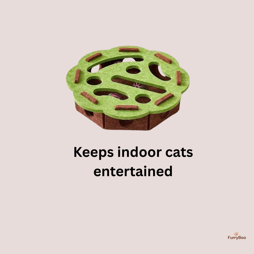 Interactive Hunting Toy for Cats