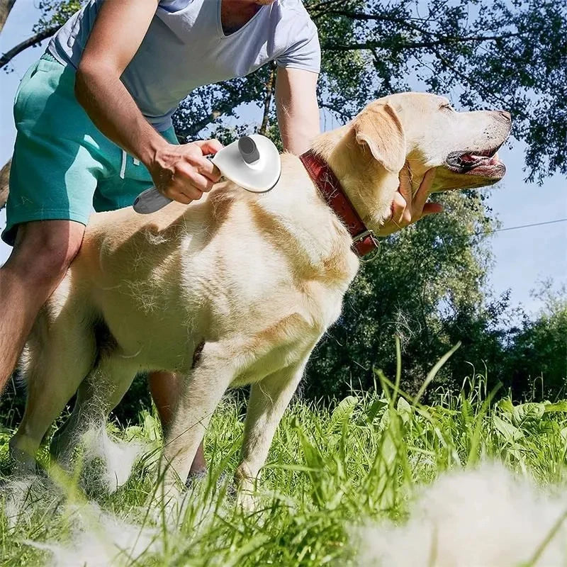 Self Cleaning Pet Hair Remover Brush For Dogs and Cats